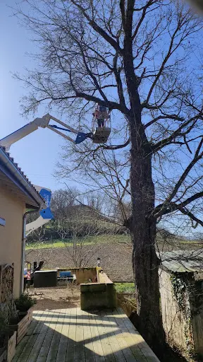Compagnie des Élagueurs