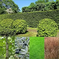 Jc Elagage, Espaces Verts, Multiservices - 30 le Cailar (vauvert) Gard
