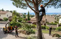 Elagage, Abattage et Espaces Verts le Cannet
