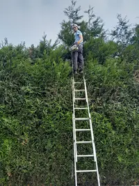 Espace Vert Tout Service ( Élagage Abattage Taille de Haie)