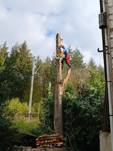 Lh Élagage
