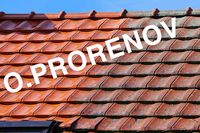 Mr Ollmann François. Pro-rénov Rénovation en Bâtiment Auvergne Rhône-alpes