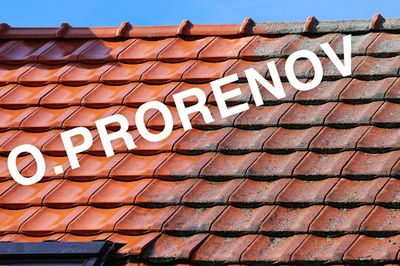 Mr Ollmann François. Pro-rénov Rénovation en Bâtiment Auvergne Rhône-alpes