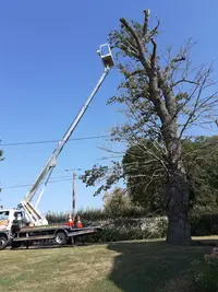 Ent Duculty Aveyron Élagage 12