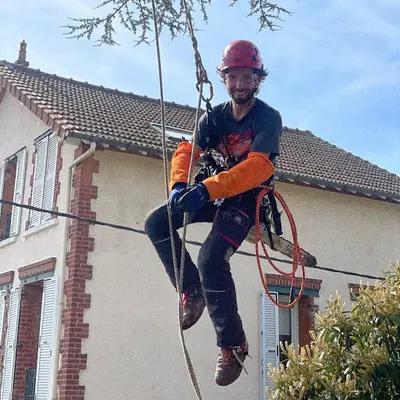 Vivre Avec les Arbres