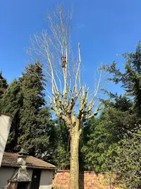 Les Jardins de Seine et Marne