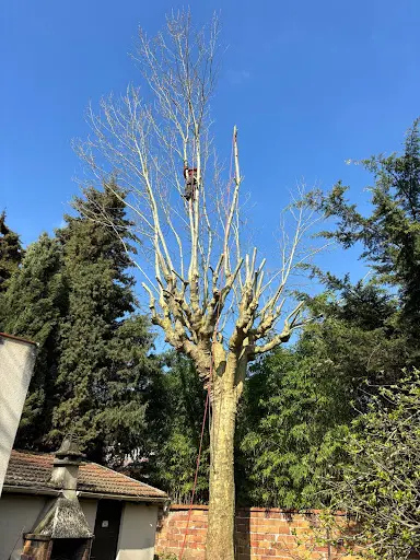 Les Jardins de Seine et Marne