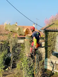 Scanderé Paysagiste Élagueur Maine et Loire 49
