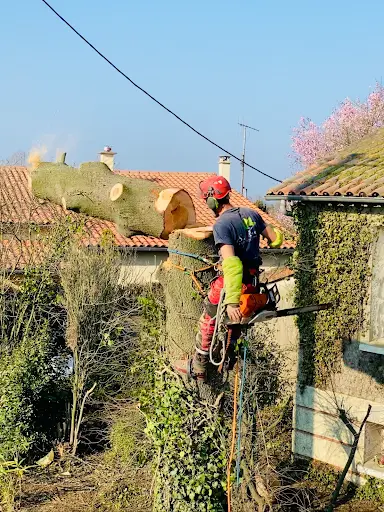 Scanderé Paysagiste Élagueur Maine et Loire 49