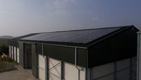 Sunopale