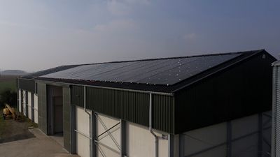 Sunopale