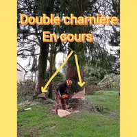 Tym Élagage