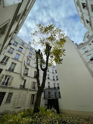 France Élagage Yvelines