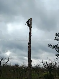 Douzon Élagage
