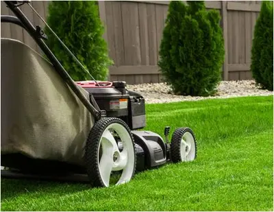 Mv Espaces Verts 78 Entretien Parcs et Jardins Abattage et Elégage