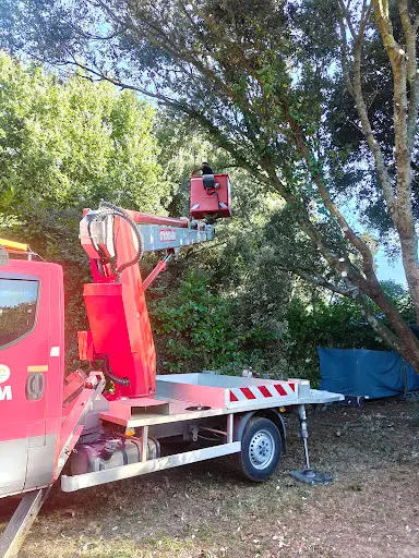 Elagage Abattage Entretien de Vos Espaces Verts