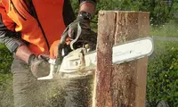 Les Bûcherons de la Vendée Élagage