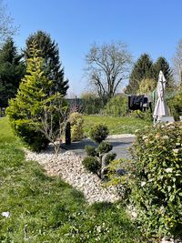 Parcs et Jardins Courbet Matheo