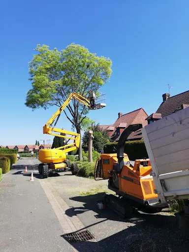 Arboreal Landscaping (elagage)