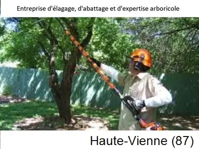 Elagueur À Limoges Pro 87