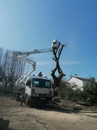 Jeanroy Elagage - Elagueur Jardinier Paysagiste sur l'Essonne (91)
