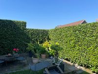Les Hauts Paysages - Jardin - Linselles