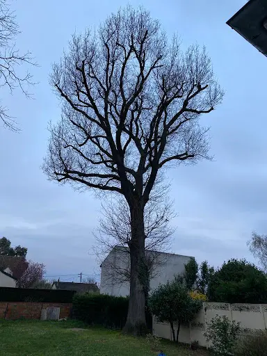 Les Élagueurs de l'Essonne