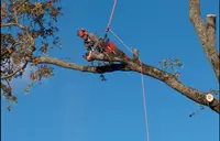Maison le Tiec - Élagage Abattage d'Arbres Entretien Espaces-verts