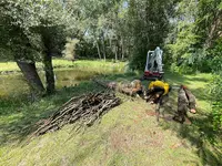 Luc’arborist