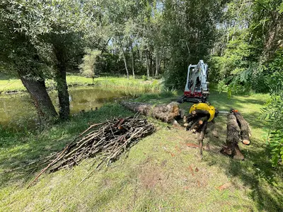 Luc’arborist