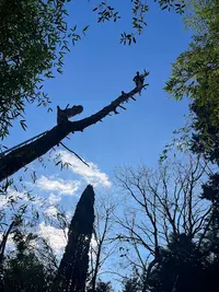 Entretien Espace Vert 34 - Jardinier Paysagiste Lunel