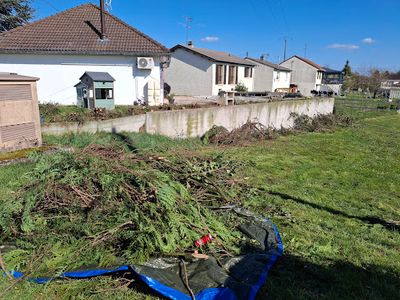 Espaces Verts Celle Jardiner Lunéville Paysagiste Taille de Haie Pose de Clôture de Qualité