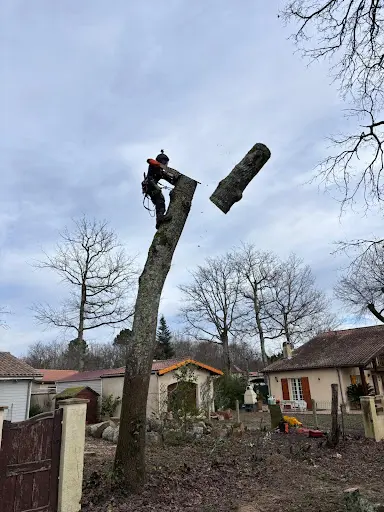 Commando Élagage
