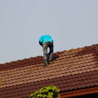 Nettoyage Toiture 28 : Nettoyeur Eure et Loir