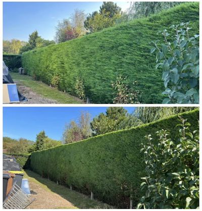 Le Petit Jardinier