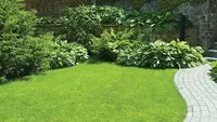 Dauber Élagage 72