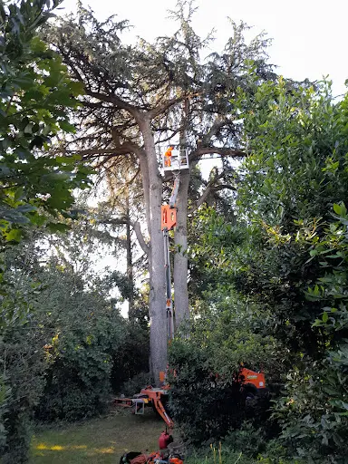 m'Debart Jardinier Elagueur Paysagiste Marmande 47