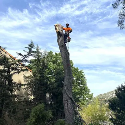 Élagage et Jardinier Marseille Canlay
