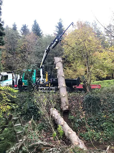 Ad Élagage