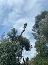 Corde en Cime
