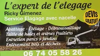 Expert de l'Elagage