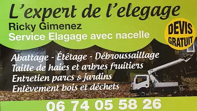 Expert de l'Elagage