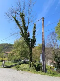 Grimpe Ô Arbres - Arboriste Élagueur Paysagiste