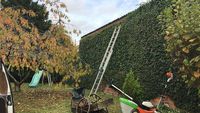Jardin des Primevères