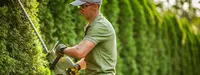 Elagueur Merville : Services Elagages Merville Paysagiste Parc et Jardin