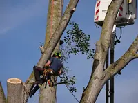 Elageur Etps Ô Sens Nature Élagage