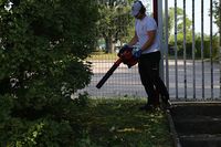Home Alliance - Espaces Verts - Paysagiste - Elagage