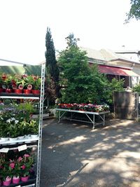 l'Atelier d'Astrid - Espace Fleuri