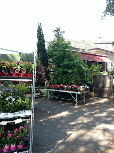 l'Atelier d'Astrid - Espace Fleuri