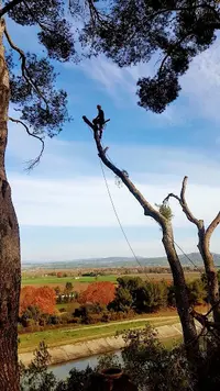 Sequoia Sarl